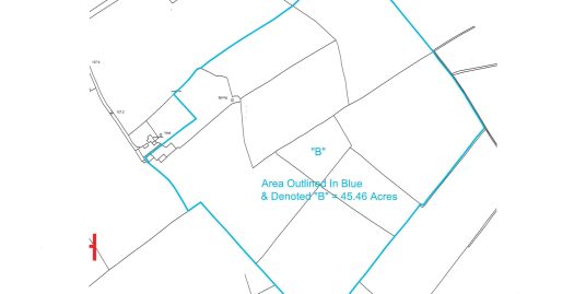 46.9-acre Residential Holding @ Lisnanagh, Edgeworthstown, Co. Longford N39 TD35